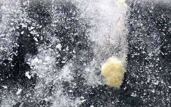 散炮加轻麸还是雪花粉?