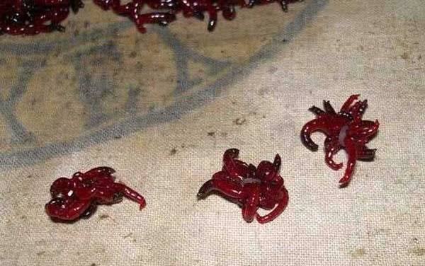 �����ú��û��Ƕ��Ϻã�