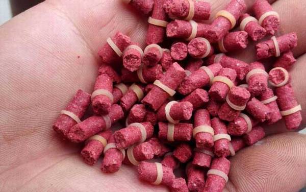 带皮筋的红虫饵颗粒怎么用?