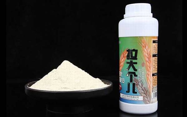 ������˿�������Ŀ���ʣ�