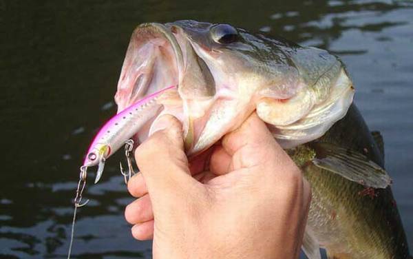 ·��������ʲô�ٶ���