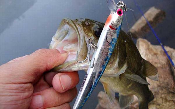 ·��������ʲô�ٶ���