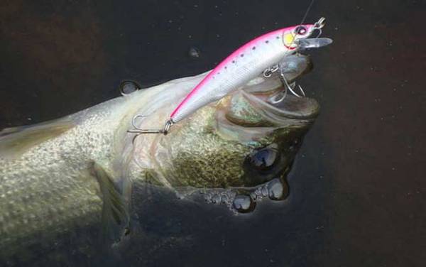 ·��������ʲô�ٶ���