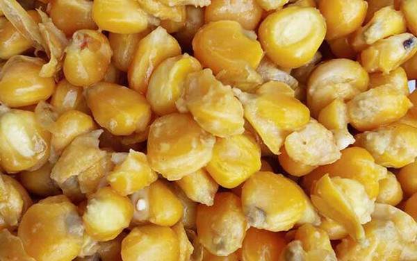 鲤鱼饵料大全及简单用法