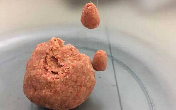 鲤鱼饵料大全及简单用法