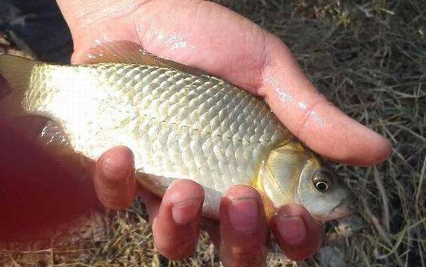 �������������䷽