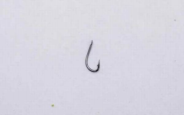 ����1�Ź�������㣿