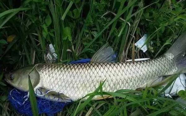 �������ö��ĸ�Ư��ã�