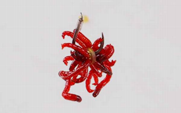 红虫夹怎么上红虫最好?