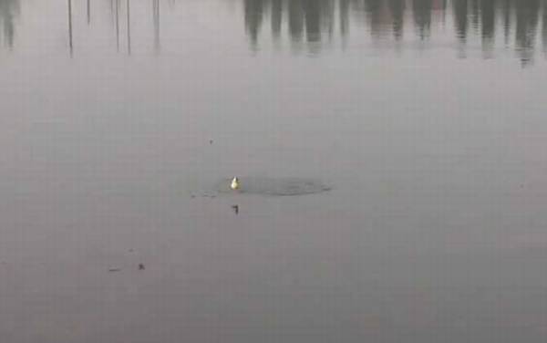 夏季钓鱼多长的钓竿合适?