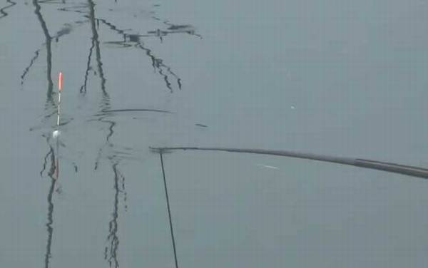 冬季钓鱼用多长的竿最好?