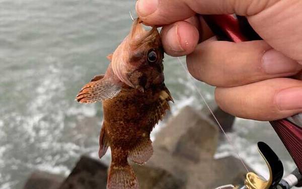 海钓装备有哪些?