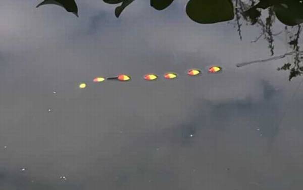 冬季钓鲫鱼用什么漂最好?