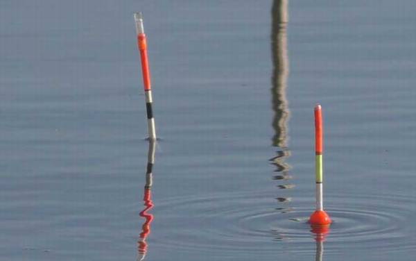 冬季钓鲫鱼用什么漂最好?