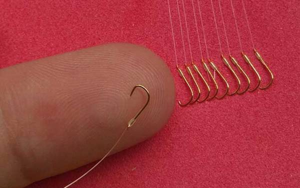 1号袖钩最大能钓多大鱼?