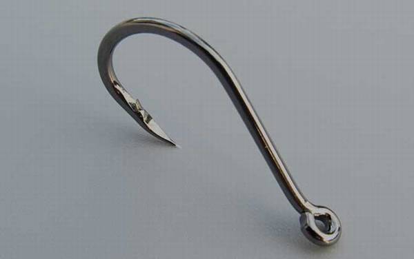 ǧ���㹳�ʺϵ�������