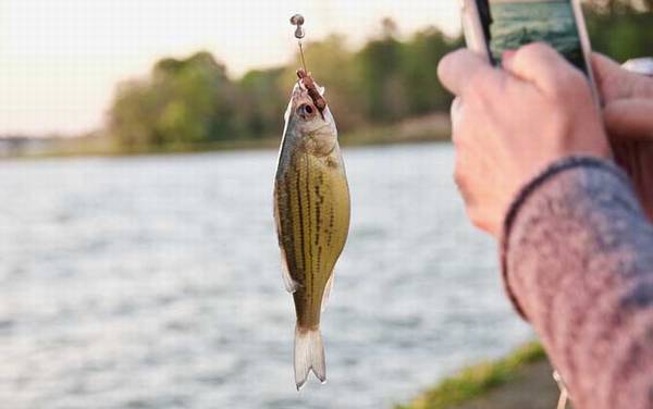 路亚钓法用什么线好?