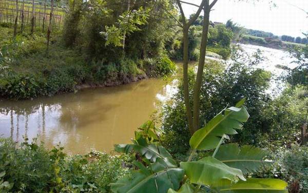 溪流钓用什么钓竿?