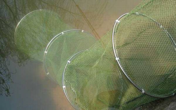 溪流钓要什么装备?