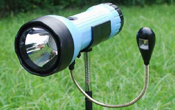 ҹ����ʲô������㣿