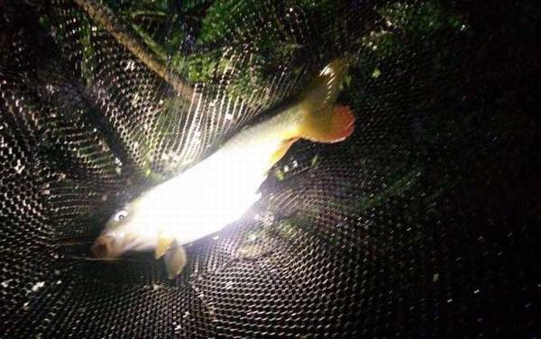 ҹ����ʲô������㣿