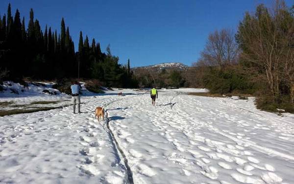 ������ʲô���飿