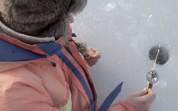 ������ʲô���飿