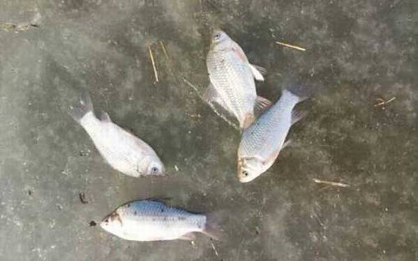 ����Ҫ��Щװ����