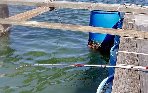 ������ʲô���ߣ�