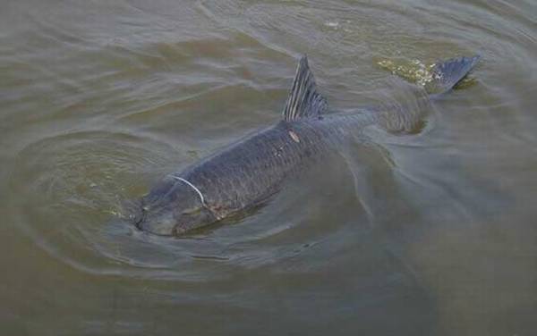 ��������ʲô���飿