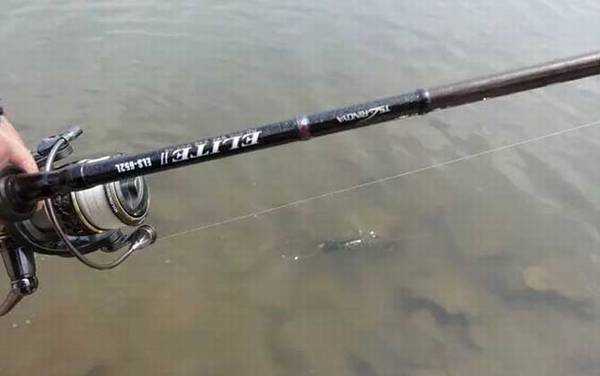 钓黑鱼用什么线组?