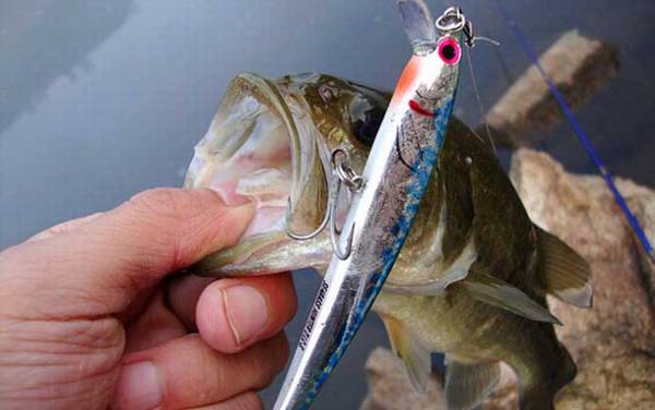 钓鲈鱼用什么线组?