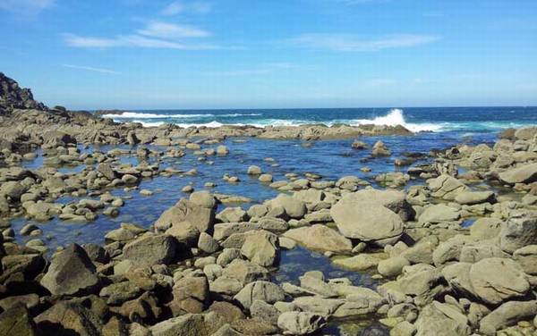 钓石斑鱼用什么钓具?