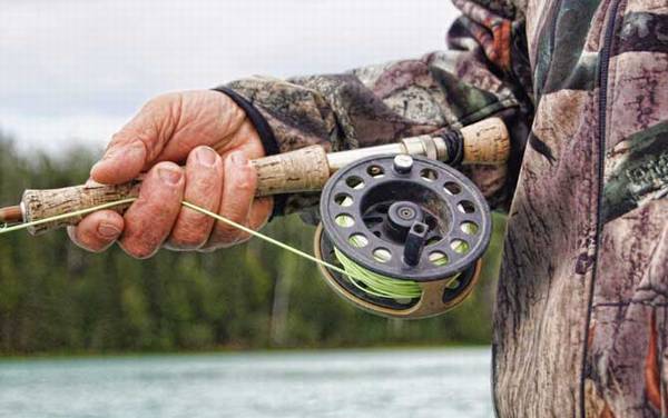 钓石斑鱼用什么钓具?