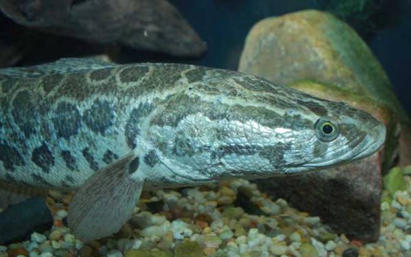 ��������ʲô�㹳��