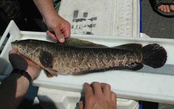 ��������ʲô�㹳��