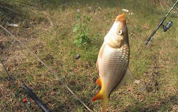 ���͵�ʹ�÷�����ע������