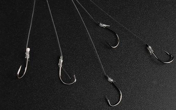 1.2子线能钓多大的鱼?