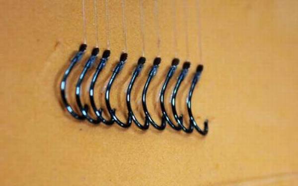 1.2子线能钓多大的鱼?