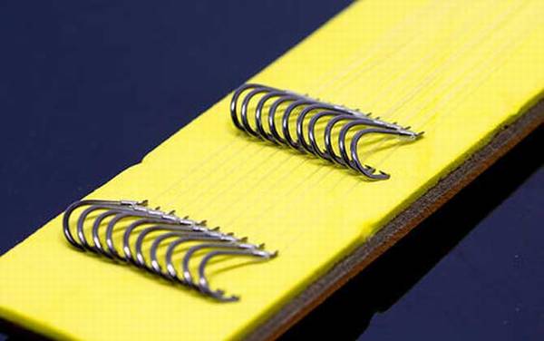 2.0子线能钓多大的鱼?