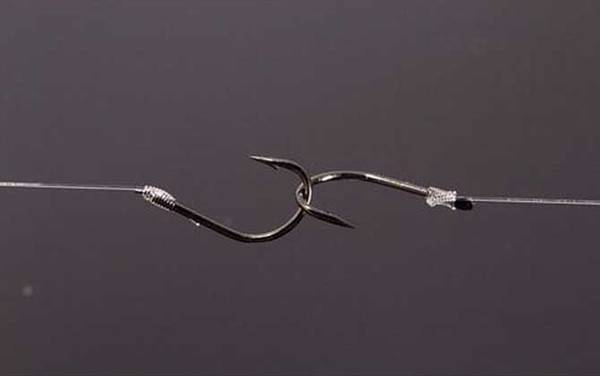 2.0子线能钓多大的鱼?