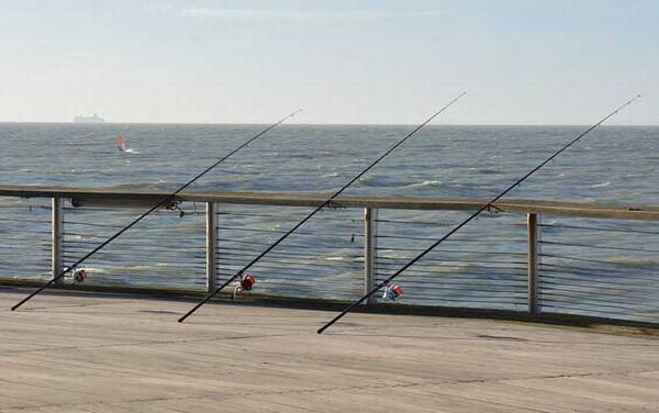 海钓有哪些基本装备?