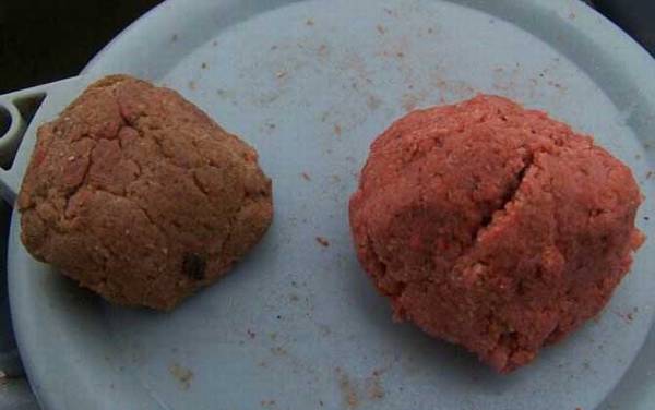 海钓有哪些基本装备?