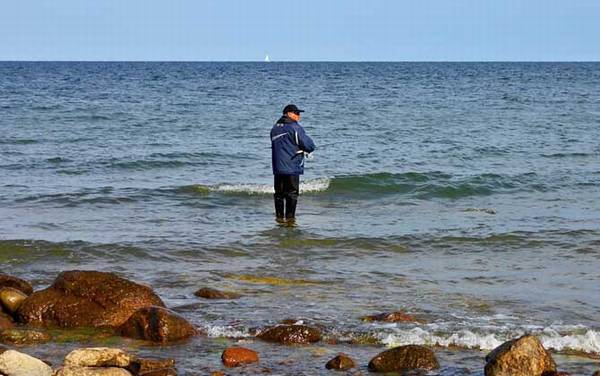 海钓用什么钓组?