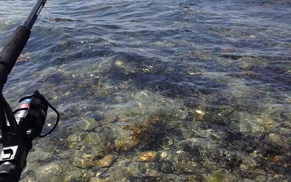 海钓用什么钓竿好?