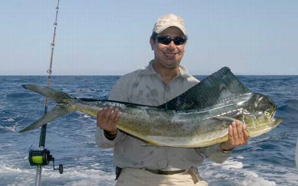 海钓用什么钓竿好?