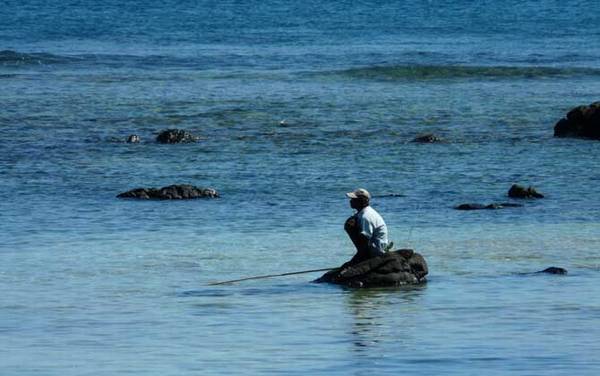 矶钓用什么鱼线好?