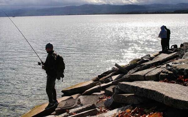 矶钓用什么鱼线好?