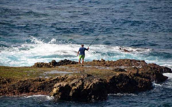 浮游矶钓用什么钓组?