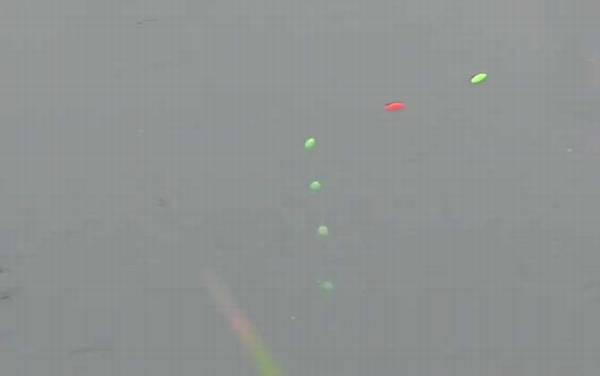 七星漂用朝天钩好还是普通钩好?